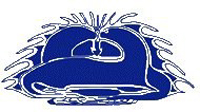 Nigigoonsiminikaaning First Nation Logo